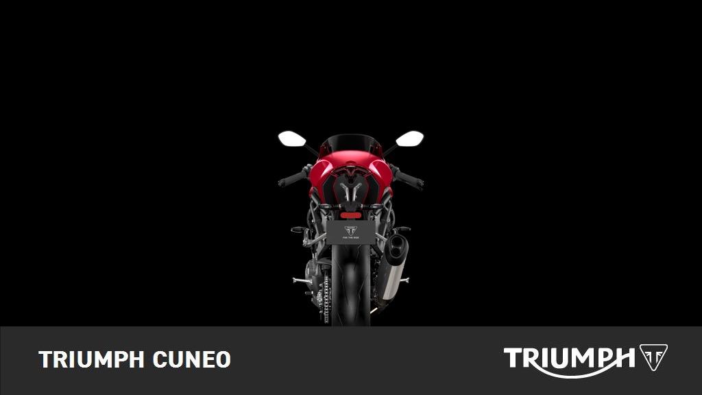 TRIUMPH Speed Triple 1200 RR Abs