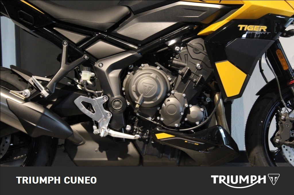 TRIUMPH Tiger Sport 800 Abs