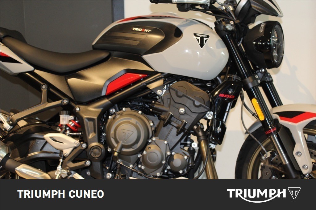 TRIUMPH Trident 800 Ash Grey Abs